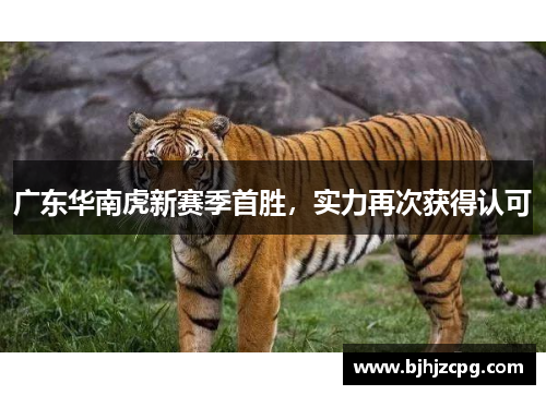 广东华南虎新赛季首胜，实力再次获得认可